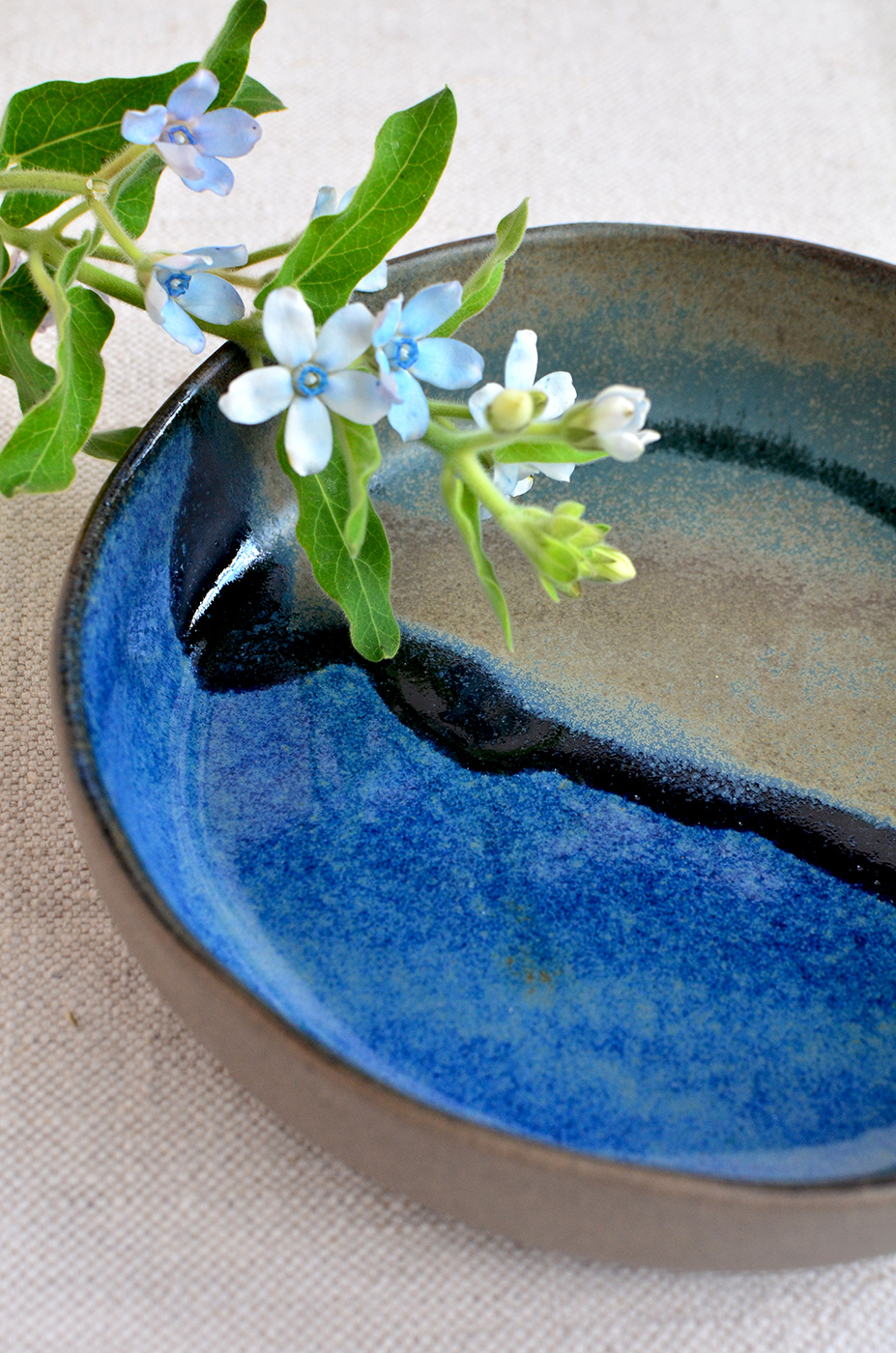 Misa "Ciemny las" - obrazek 3